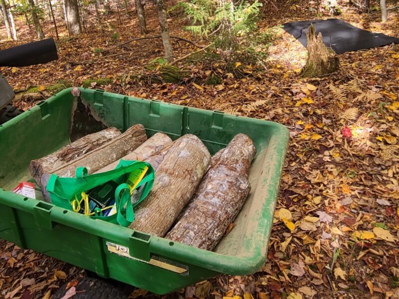 Breezy Woods Mushroom Farm